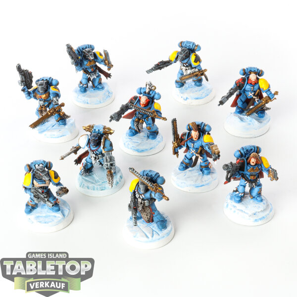 Space Wolves - 10 Grey Hunters - bemalt
