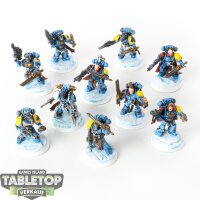 Space Wolves - 10 Grey Hunters - bemalt