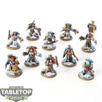 Space Wolves - 10 Grey Hunters - bemalt