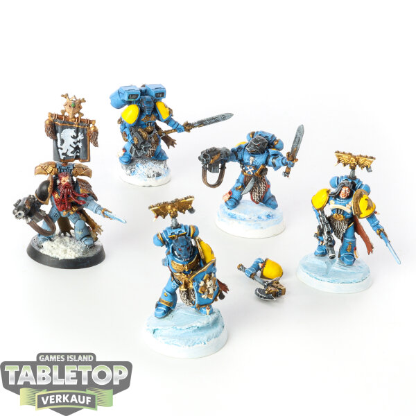 Space Wolves - 5 Grey Hunters - bemalt