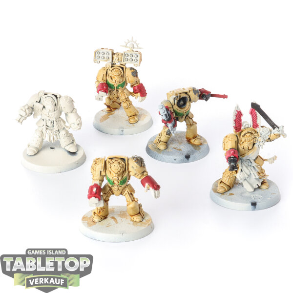 Dark Angels - 5 Deathwing Terminators - teilweise bemalt