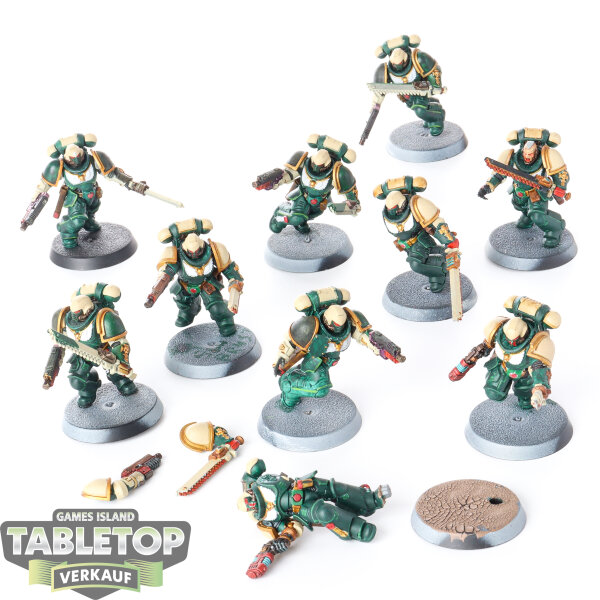 Space Marines - 10 Assault Intercessors - teilweise bemalt