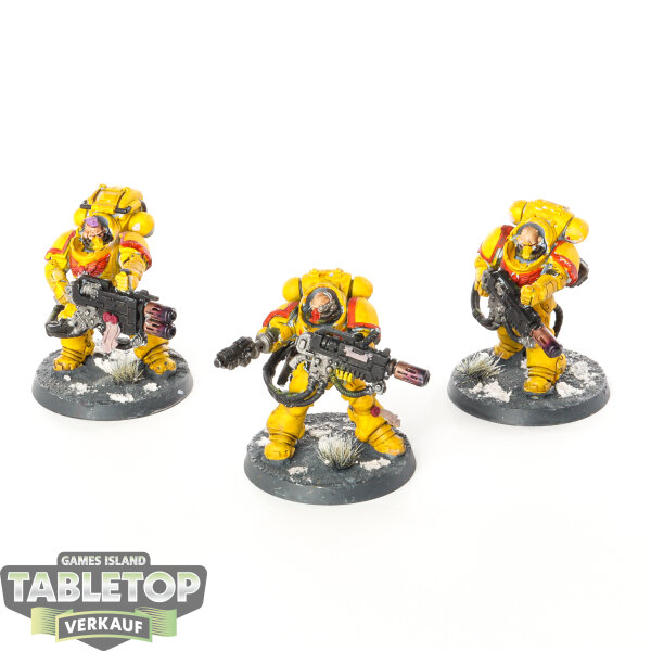 Space Marines - 3 x Primaris Eradicators - bemalt