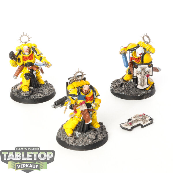 Space Marines - 3 x Bladeguard Veterans - bemalt
