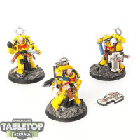 Space Marines - 3 x Bladeguard Veterans - bemalt
