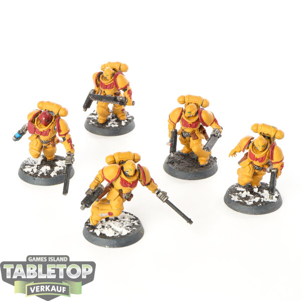 Space Marines - 5 x Assault Intercessors - bemalt