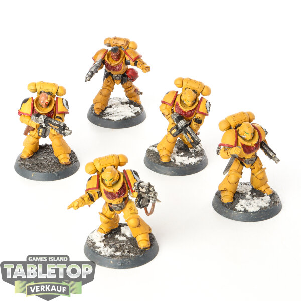 Imperial Fists - 5 x Intercessors - bemalt