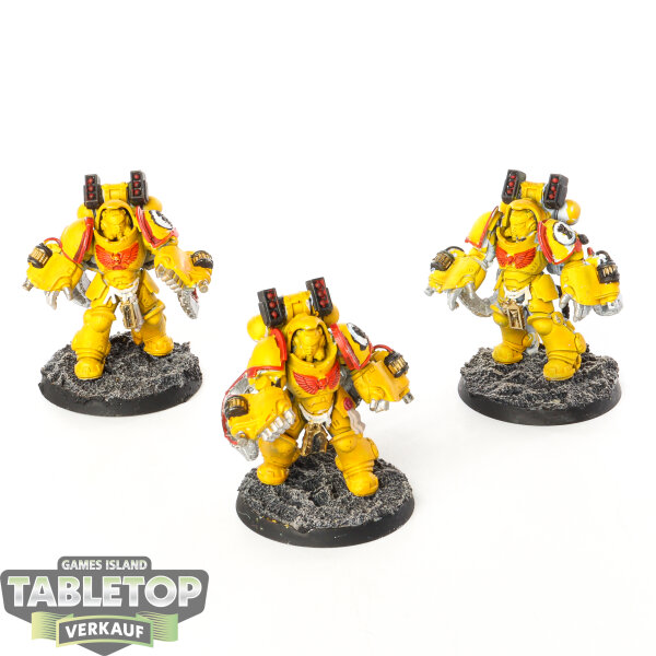 Imperial Fists - 3 x Primaris Aggressors - bemalt