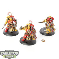 Space Marines - 3 Bladeguard Veteran  - bemalt