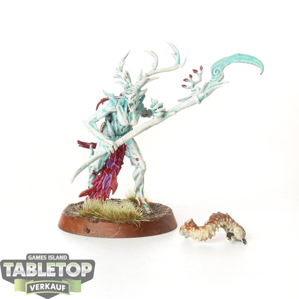 Sylvaneth - Branchwych - bemalt