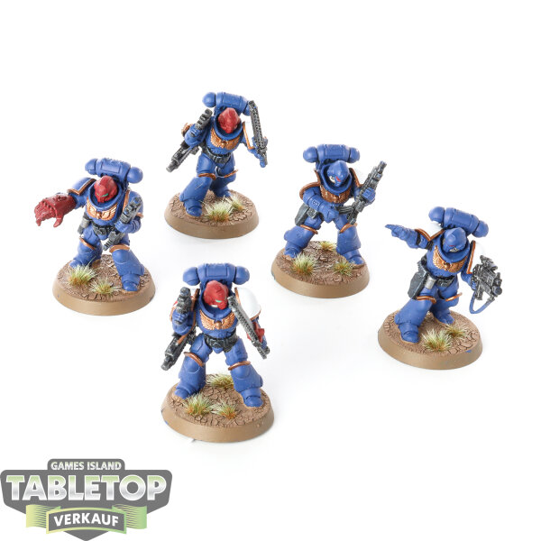 Space Marines - 5 Intercessors - bemalt