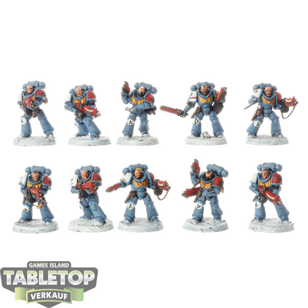 Space Wolves - 10x Intercessors - bemalt