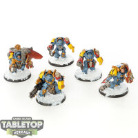 Space Wolves - 5x Wolf Guard Terminators - bemalt