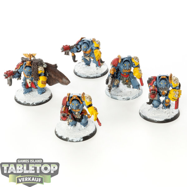 Space Wolves - 5x Wolf Guard Terminators - bemalt