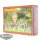 Beastmen Brayherds - Gor Herd - Originalverpackt / Neu