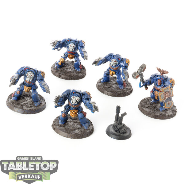Space Marines - 5 Terminator Assault Squad - bemalt