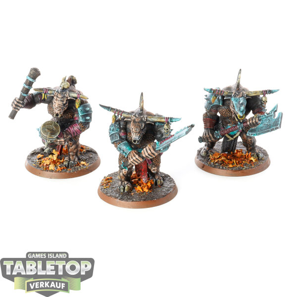 Beasts of Chaos - 3 x Bullgors - bemalt