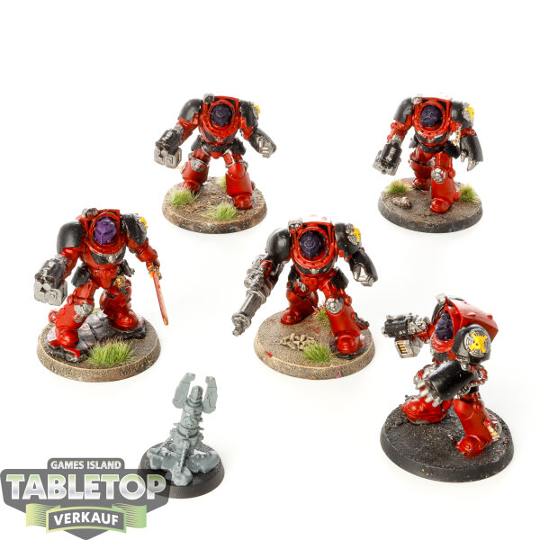 Space Marines - 5 Terminator Squad - bemalt