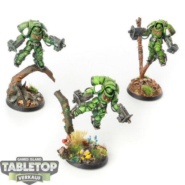 Space Marines - 3x Primaris Inceptors - bemalt