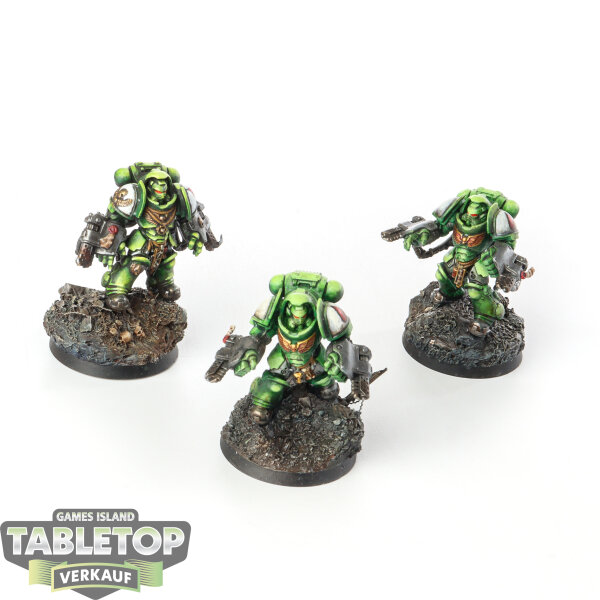 Space Marines - 3x Primaris Aggressors - bemalt