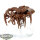 Necrons - Canoptek Spyder - teilweise bemalt