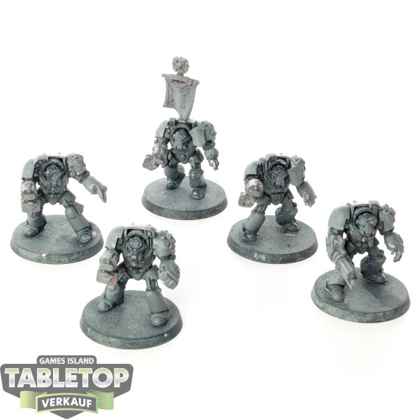 Space Marines - 5x Terminator Squad - klassisch - unbemalt