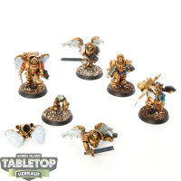 Blood Angels - 5x Sanguinary Guard klassisch - bemalt