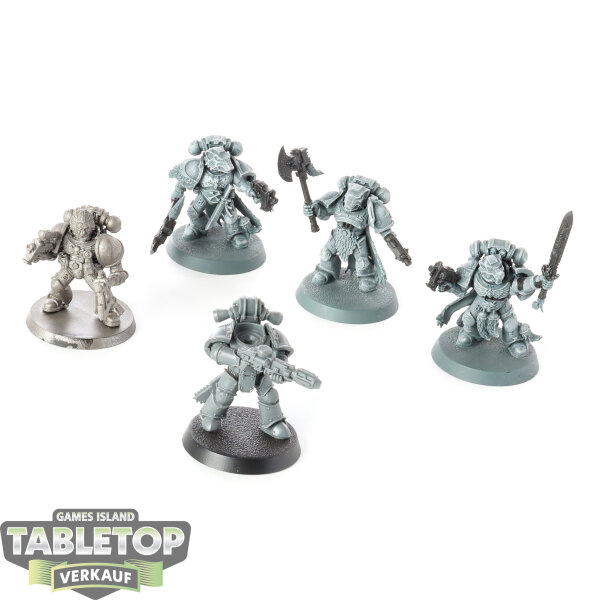 Space Wolves - 5 Grey Hunters - grundiert