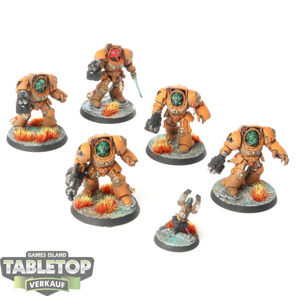 Space Marines - 5 x Terminator Squad - bemalt