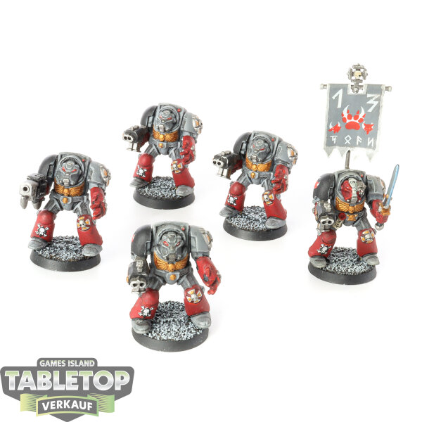 Space Marines - 5 Terminators klassisch - bemalt