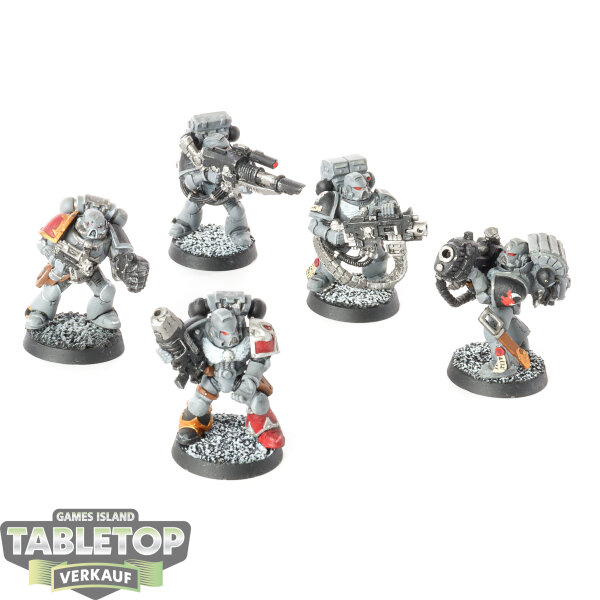 Space Marines - 5 Devastator Squad klassisch - bemalt