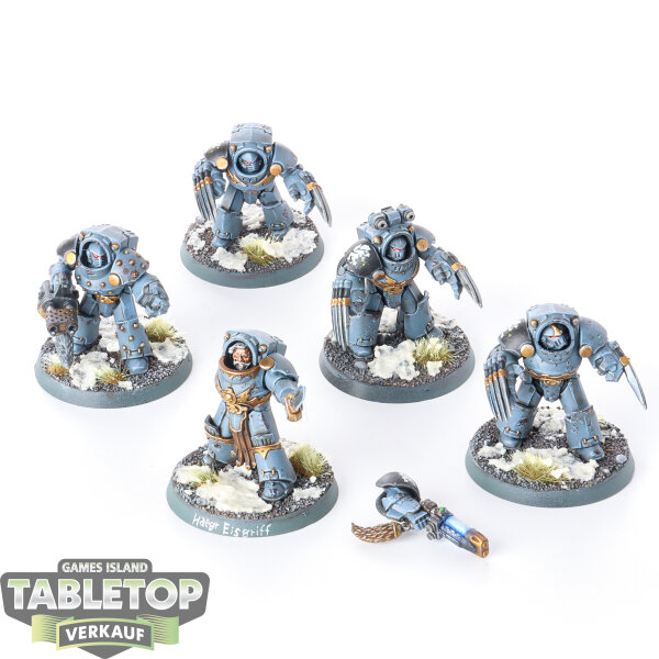 Horus Heresy - 5 Space Wolves Legion Tartaros Terminator Squad - bemalt