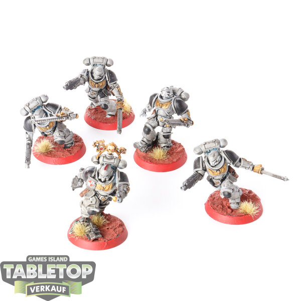 Space Marines - 5 x Assault Intercessors - bemalt
