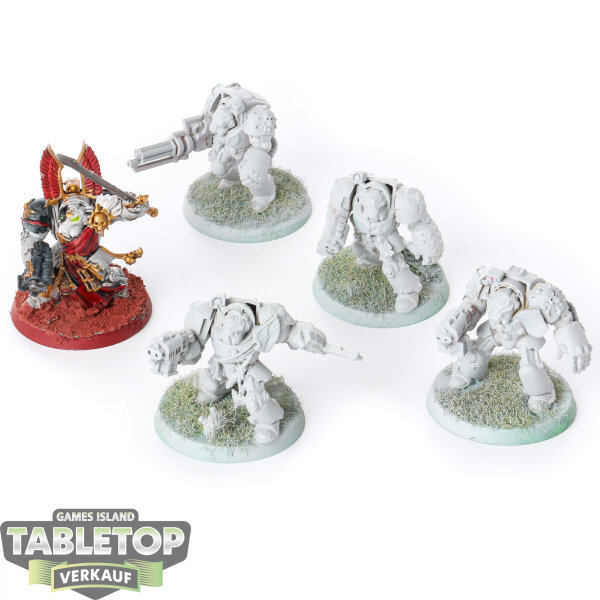 Dark Angels - 5 x Deathwing Terminator Squad klassisch - teilweise bemalt