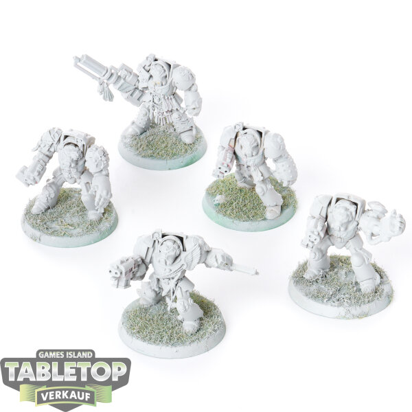 Dark Angels - 5 x Deathwing Terminator Squad klassisch - teilweise bemalt