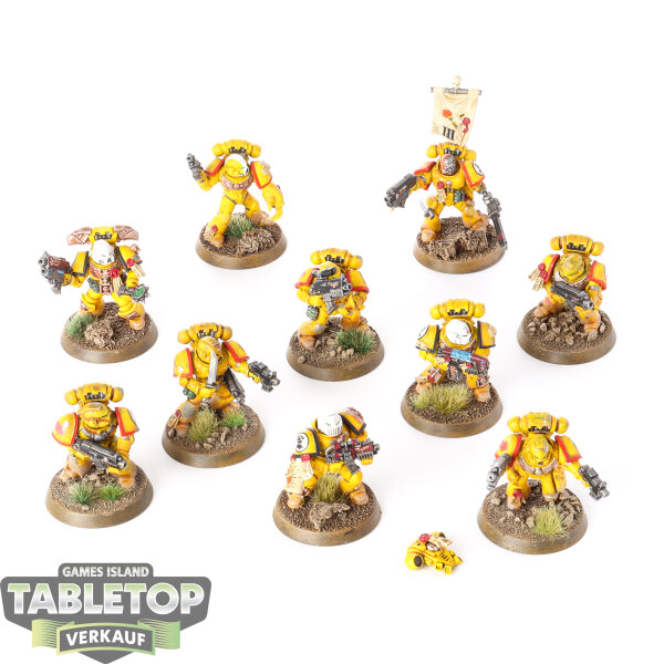 Imperial Fists - 10x Tactical Squad - bemalt