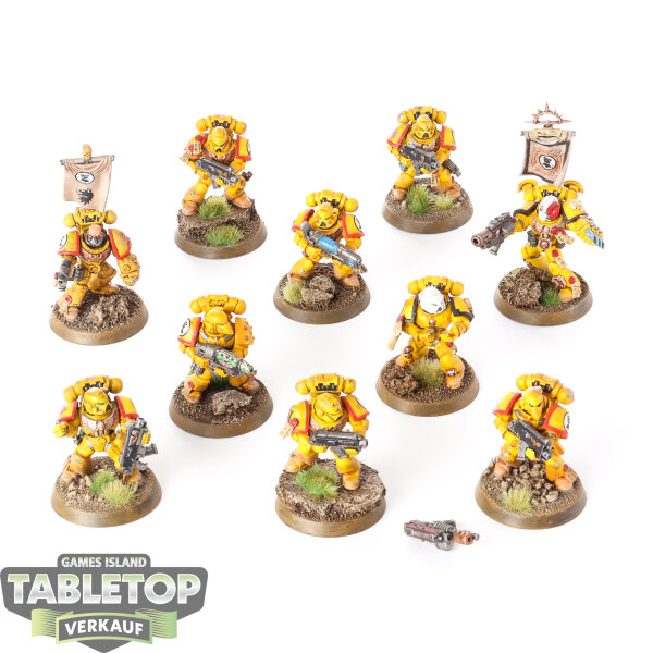 Imperial Fists - 10x Tactical Squad - bemalt