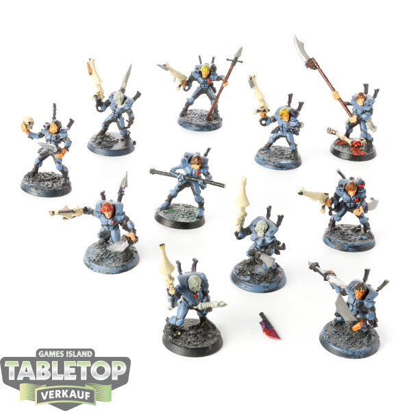 Aeldari - 11x Storm Guardians klassisch - teilweise bemalt