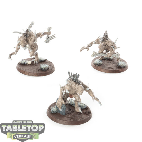 Flesh-eater Courts - 3 x Crypt Horrors - teilweise bemalt