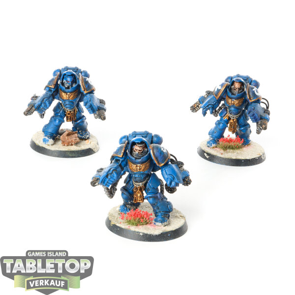 Space Marines - 3 Primaris Aggressors - bemalt