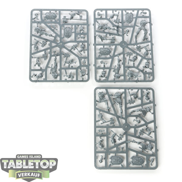 Stormcast Eternals - 6x Liberators - im Gussrahmen