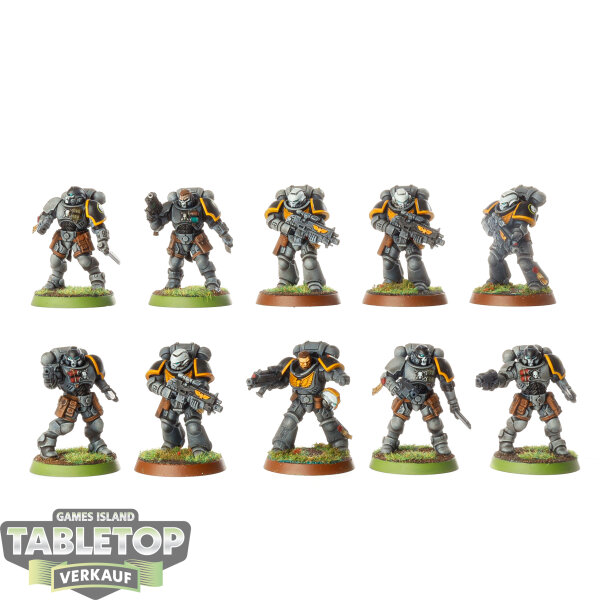 Space Marines - 10 Intercessors - bemalt