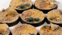 GamersGrass - Desert of Maahl Bases - Round 28mm (x8)