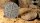 GamersGrass - Desert of Maahl Bases - Round 80mm (x1)