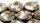 GamersGrass - Winter Bases - Round 28mm (x8)
