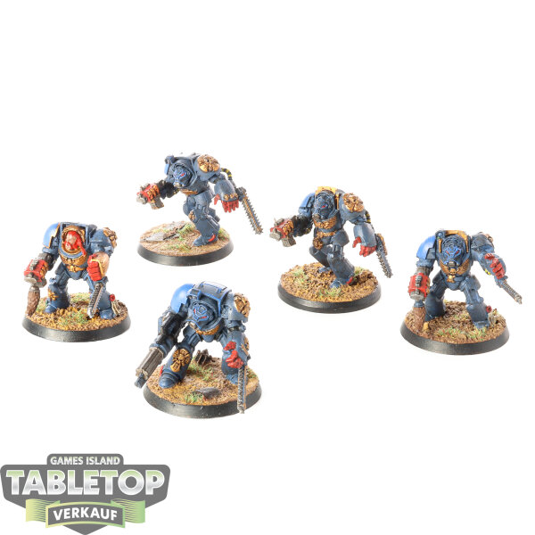 Space Wolves - 5 Terminatoren, klassisch - bemalt