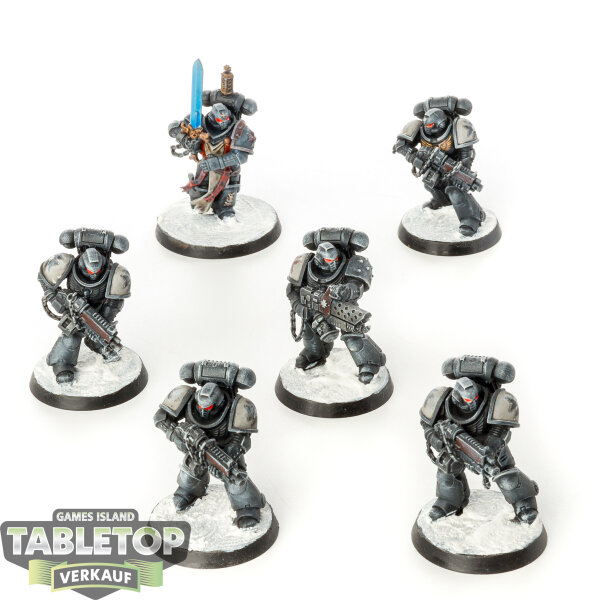 Black Templars - 6x Primaris Crusader Squad - bemalt