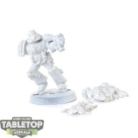 Blood Angels - Blood Angels Sanguinary Priest klassisch -...