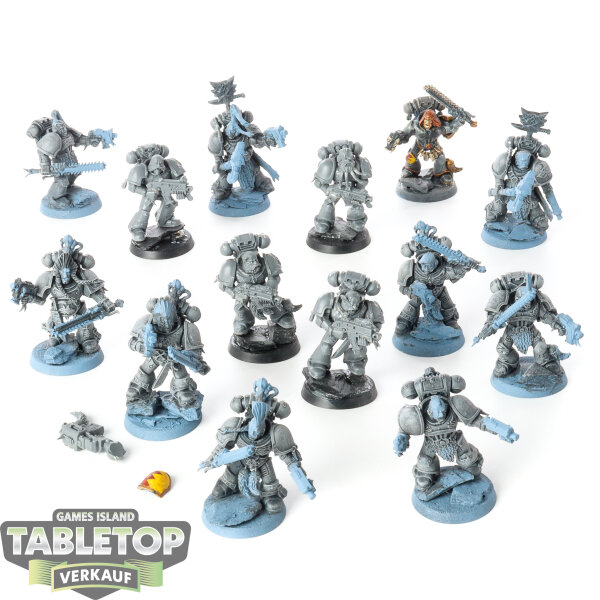 Space Wolves - 14x Grey Hunters - teilweise bemalt