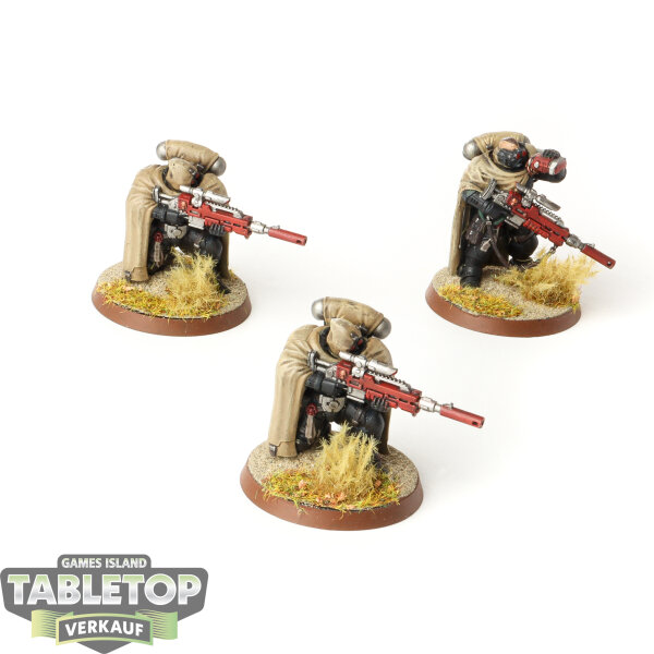 Black Templars - 3 x Eliminators - bemalt